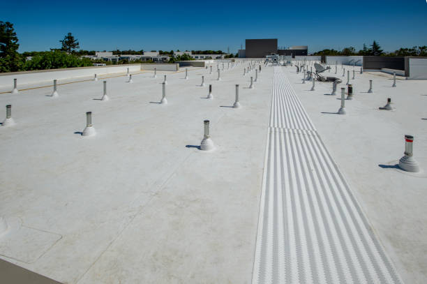 Best Commercial Roofing Services  in Plymouth, MN